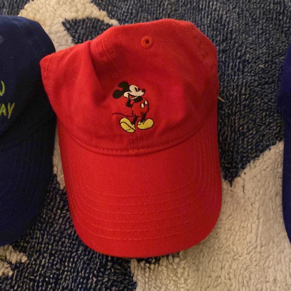 Disney Hat!